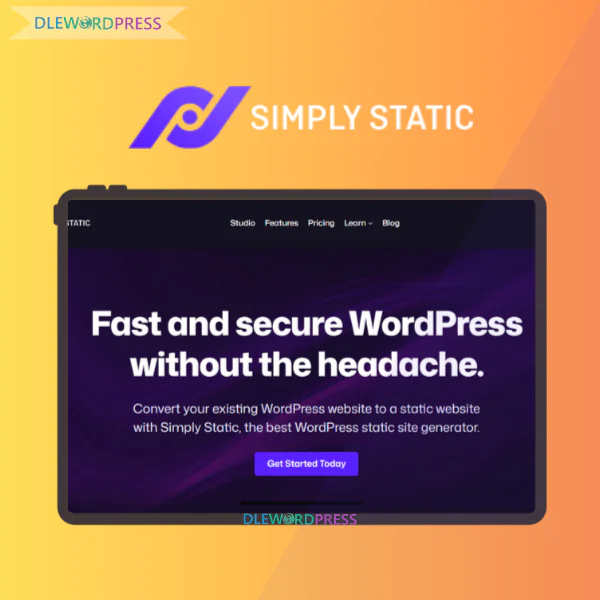 Simply Static 6 Simply Static DLE