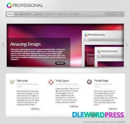 TheProfessional WordPress Theme V4.0.13 - Elegant Themes