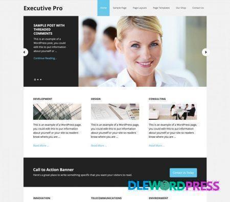 Executive Pro V3.2.3 - StudioPress
