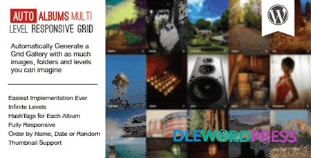 Auto Photo Albums – Multi Level Image Grid
