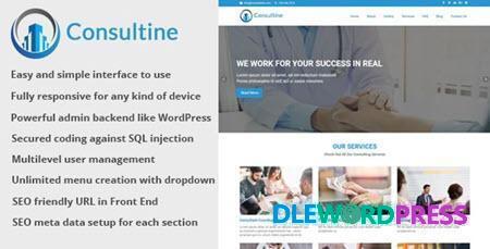 Consultine V1.7 - Consulting, Business And Finance Website Cms 3 Consultine