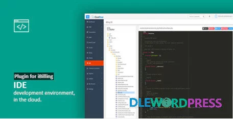 IDE - Plugin for iBilling 1 IDE - Plugin for iBilling