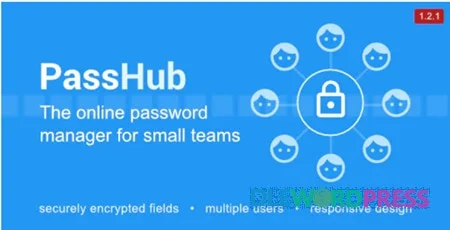 PassHub v1.1.0 - online password manager