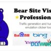 Bear Site Visitor Pro v1.4 Traffic generator tool