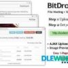BitDrop – File Hosting with Short URL Link – Loaders and Uploaders
