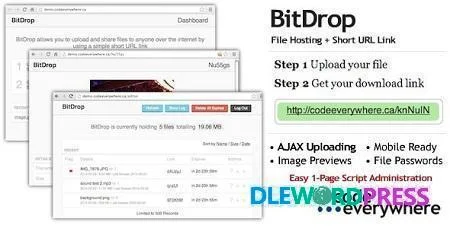 BitDrop - File Hosting with Short URL Link - Loaders and Uploaders