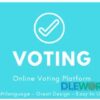 Voting v2 Online Voting Platform