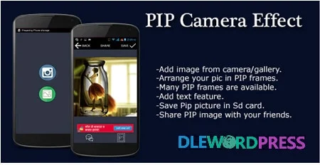 PIP Camera Effect
