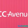 Give CCAvenue Gateway V1.0.4