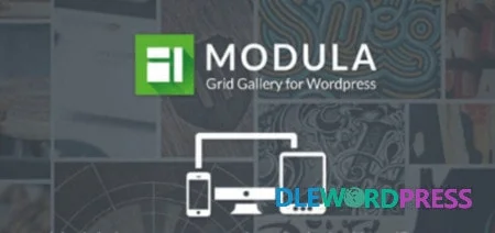 [Special Offer] Modula Gallery Agency (Key LTD Inc) – Unlimited Websites
