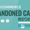 WooCommerce Abandoned Cart Recovery V1.0.5.6 – Email SMS Facebook Messenger