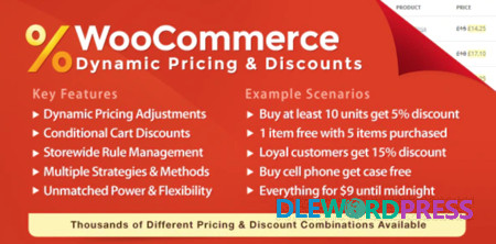 WooCommerce Dynamic Pricing & Discounts V2.5.0 – CodeCanyon