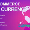 WooCommerce Multi Currency V2.1.9.4 – Currency Switcher
