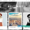 Brittany WordPress Theme V2.0.4 CSS Igniter