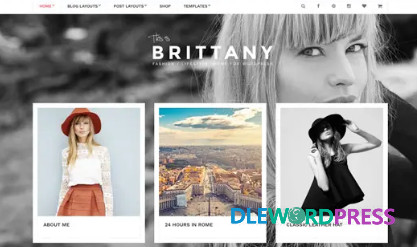 Brittany WordPress Theme V2.1.1 - CSSIgniter 1 Brittany WordPress Theme V2.1.1 - CSSIgniter