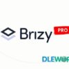 Brizy Pro V0.0.41