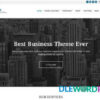 Business3ree WordPress Theme V2.5.5 CSS Igniter
