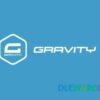 Gravity Forms Lock V4.0.1 Download Monitor