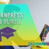 LearnPress PRO Bundle V3.2.6.5 Thimpress
