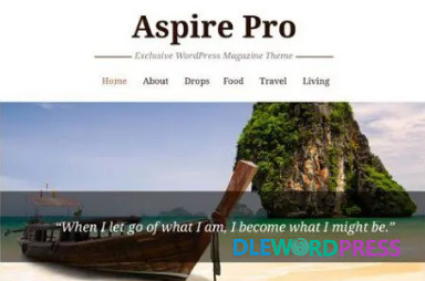 AspirePro V1.5 - CyberChimps 1 AspirePro V1.5 - CyberChimps