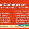 WooCommerce Dynamic Pricing Discounts V2.3.9 Codecanyon