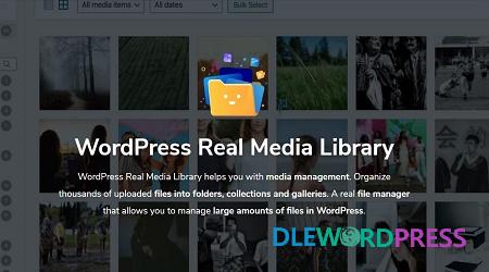 WordPress Real Media Library V4.18.32 – Folders & File Manager