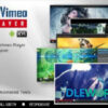 Youtube Vimeo Video Player and Slider WP Plugin V3.1.2 Codecanyon