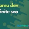 Infinite SEO WordPress Plugin V1.7.5 WPMU DEV