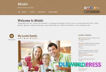 Themify Minblr WordPress Theme V5.6.0