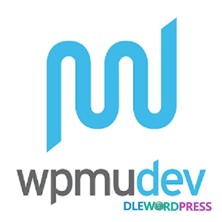 WPMU DEV Custom Admin Text WordPress Plugin V2.0.3.1