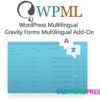 Gravity Forms Multilingual Add On V1.5.4 WordPress Multilingual