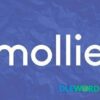 Mollie Gateway Addon V1.2.4 Give