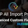 Soflyy WP All Import Pro Advanced Custom Fields Addon V3.3.0 1