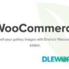 WooCommerce Addon V1.5.1.1 Envira Gallery