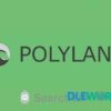 SearchWP Polylang Integration V1.3.5 SearchWP