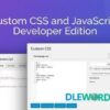 Custom CSS and JavaScript Developer Edition