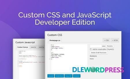 Custom CSS and JavaScript Developer Edition