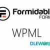 Formidable Multilingual V1.09 WPML