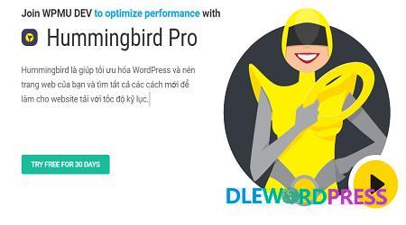 Hummingbird Pro WordPress Speed Optimization WpMudev