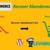 WooCommerce Recover Abandoned Cart – CodeCanyon