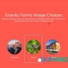 Gravity Forms Image Choices Add On