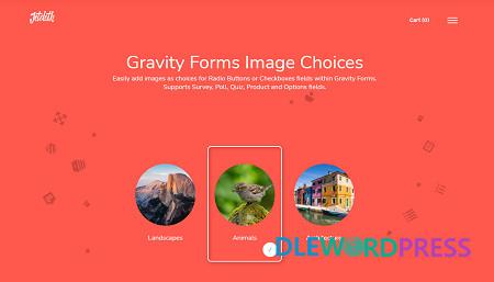 Gravity Forms Image Choices 