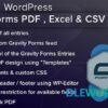 WordPress Gravity Forms PDF Excel CSV Google Sheet