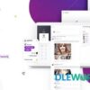 Download Beehive – Social Network WordPress Theme Best Themes