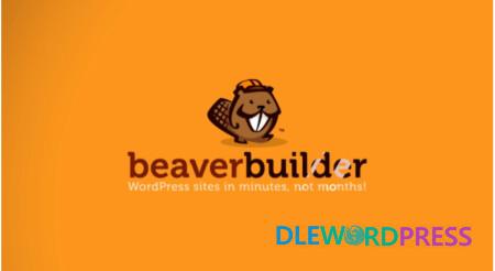Beaver Builder Pro V2.6.2 + Beaver Theme V1.7.11 – WordPress Theme