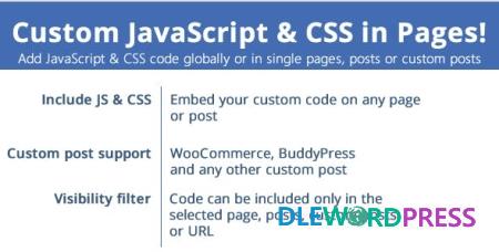 Custom JavaScript And CSS in Pages