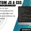 1558799621 easy custom js and css