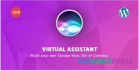 Virtual Assistant for Wordpress