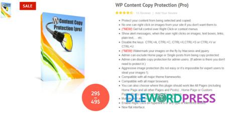 1584166381 wp content copy protection pro