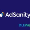 adsanity review 1